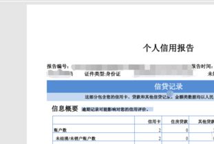 个人互联网服务 周末查询征信与利用工具实现信用自由指南
