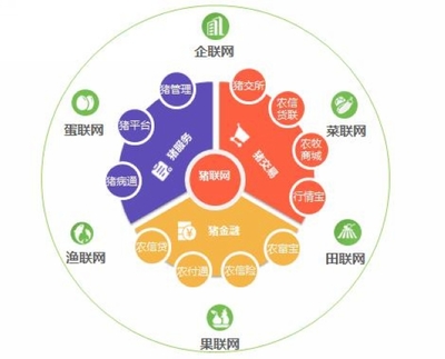 平安互联网创建项目 打造安全、便捷、高效的个人互联网服务新生态